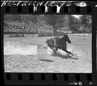 Barrel Racers, Tiny Watts