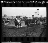 Bill Linderman  Steer Wrestling