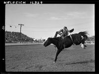 Buddy Martin on Sungoose