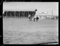 Leon Bauerle Steer Wrestling