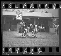 Steer Wrestling 6th Go