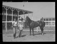 Leo Ray, Geldings, all ages, M.H. Freeman, Dighton, Kansas