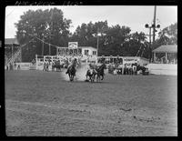 Bill Fedderson Steer Wrestling  (8.1)