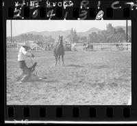 J.L. Bartlett Calf roping