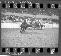 Don McBride - Harold Mattos Team Roping