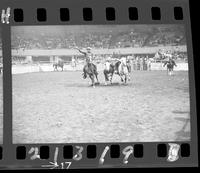 Benny Combs Steer Wrestle