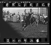 David Clark riding a Steer