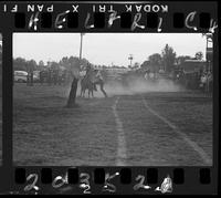 Lowell Taylor Calf Roping