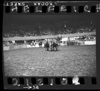 Walt Linderman Steer Wrestling