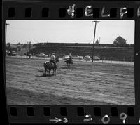 Jim Rodriguez Jr. - Gene Rambo Team Roping