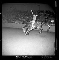 Benny Reynolds on Chicken Fry (Flying A)