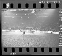 Wayne Garrett Calf Roping