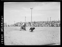 Bill Rish Calf Roping