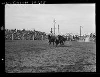Bill Henderson Steer Wrestling