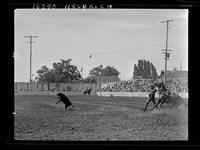 Harry Charters Calf Roping