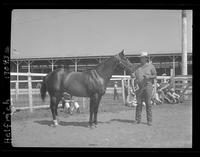 Chicaro Murphy, Horses foaled in1956 or before, Walter E. Gibbons, Comstock, Nebr.
