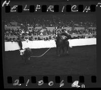 Woody Bell Calf Roping