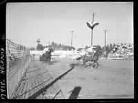 E.V. Dorsey - Harold Mattos Team Rope