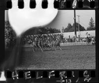 Jack Wood Steer Wrestling