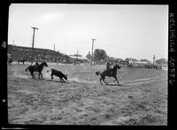 Bill Hamilton - Frank Ferreira Jr. Team Roping