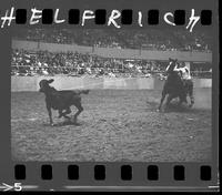 Neal Love Calf rRoping