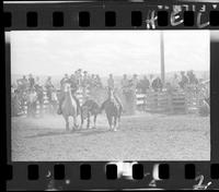 Bill Lawrence Steer Wrestling