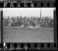 Ken Ford Steer Wrestling