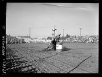 Jane Mayo Barrel Race (Almost fell) 17.6