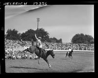 Norris Demeree on Little Abner