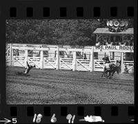 Jack Burkholder Calf Roping