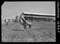 Bill Watts on Sioux