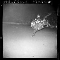 Clark Bros. Rodeo Kids