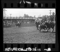 Harry Charters Steer Wrestling