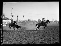 Jim Rodriguez - Gene Rambo Team Rope