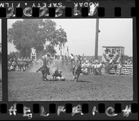 Demar Thurman Steer Wrestling