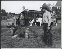 [Cowboy and children looking at a steer lying on the ground, Miller Bros. 101 Ranch]