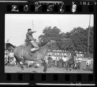 Guy Weeks on Guthrie Dunn