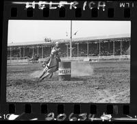 Fay Anne Horton Barrel Racing