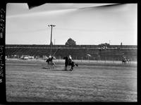 Jim Rodriguez Jr. - Gene Rambo Team Roping