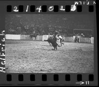 Tater Decker Calf Roping