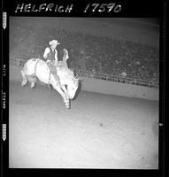 Sammy Flynn on Mighty Mike (236 Hutchison)