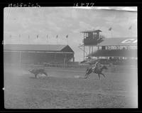 Bill Harlan Steer Roping