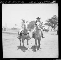 Buster & Sonny on Horses