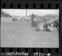 Dale Huddleeston Steer Wrestling