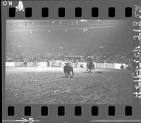 Sonny Jim Orr Calf Roping