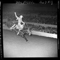 Bill Martinelli on Crazy One  (HK)