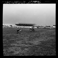 Shoate Webster Calf Roping