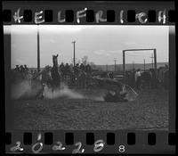 Bob Ragsdale Calf Roping