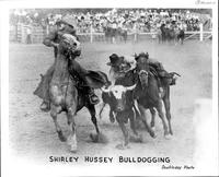 Shirley Hussey Bulldogging