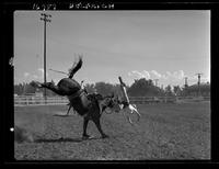 John McFarland off Steamboat